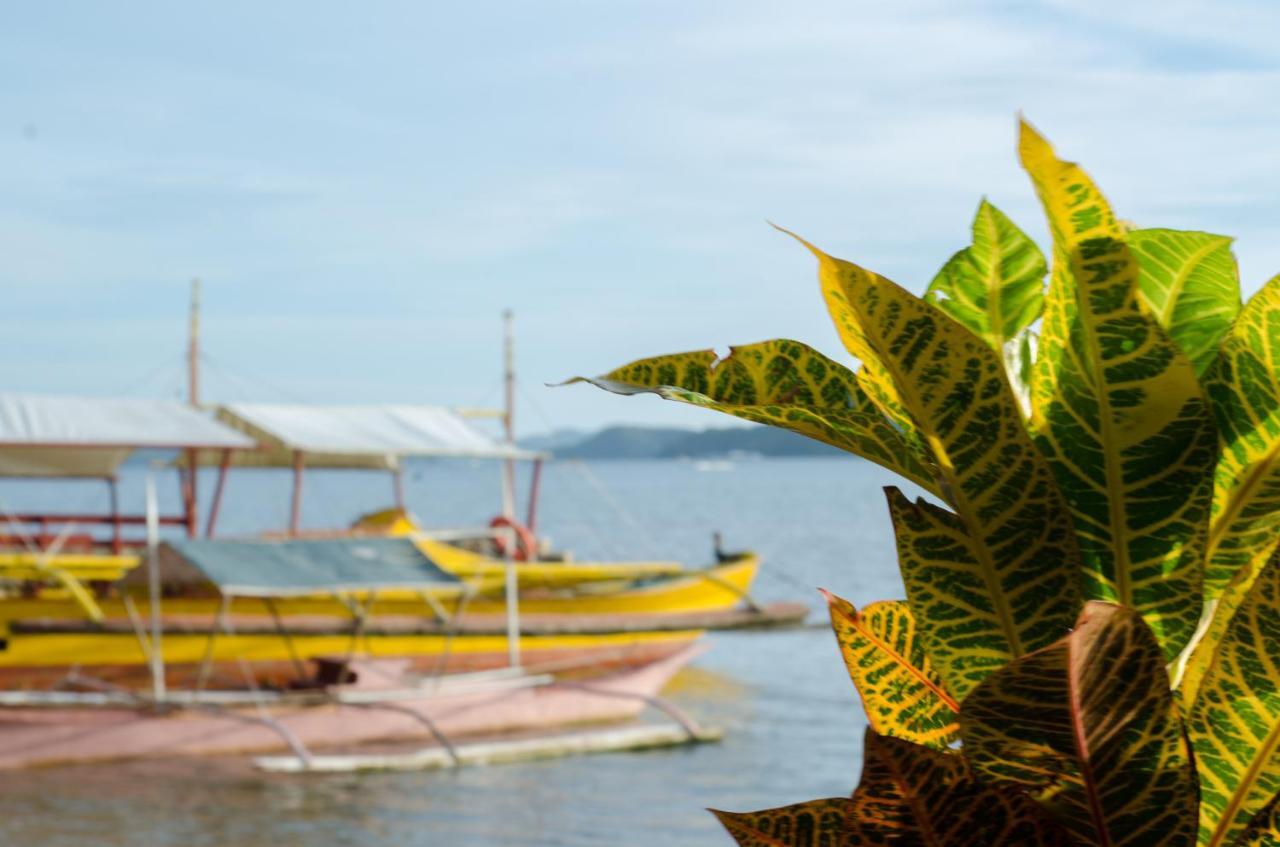 Concepcion Divers Lodge Busuanga Luaran gambar